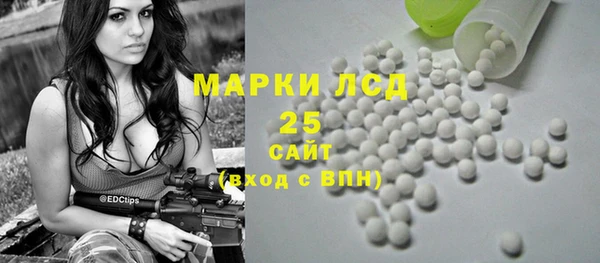 ПСИЛОЦИБИНОВЫЕ ГРИБЫ Алексин