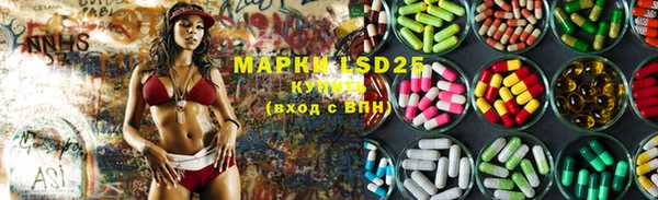 ПСИЛОЦИБИНОВЫЕ ГРИБЫ Алексин